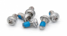 BULLONI GALFER IN ACCIAIO INOX LEGGERO (6 pezzi) M5x10 /Torx T25 per sistema a disco a 6 bulloni standard
