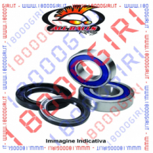 KIT CUSCINETTI RUOTA POSTERIORE HONDA CRF X (PE06) 450 05 / 13 ALL BALLS 25-1250